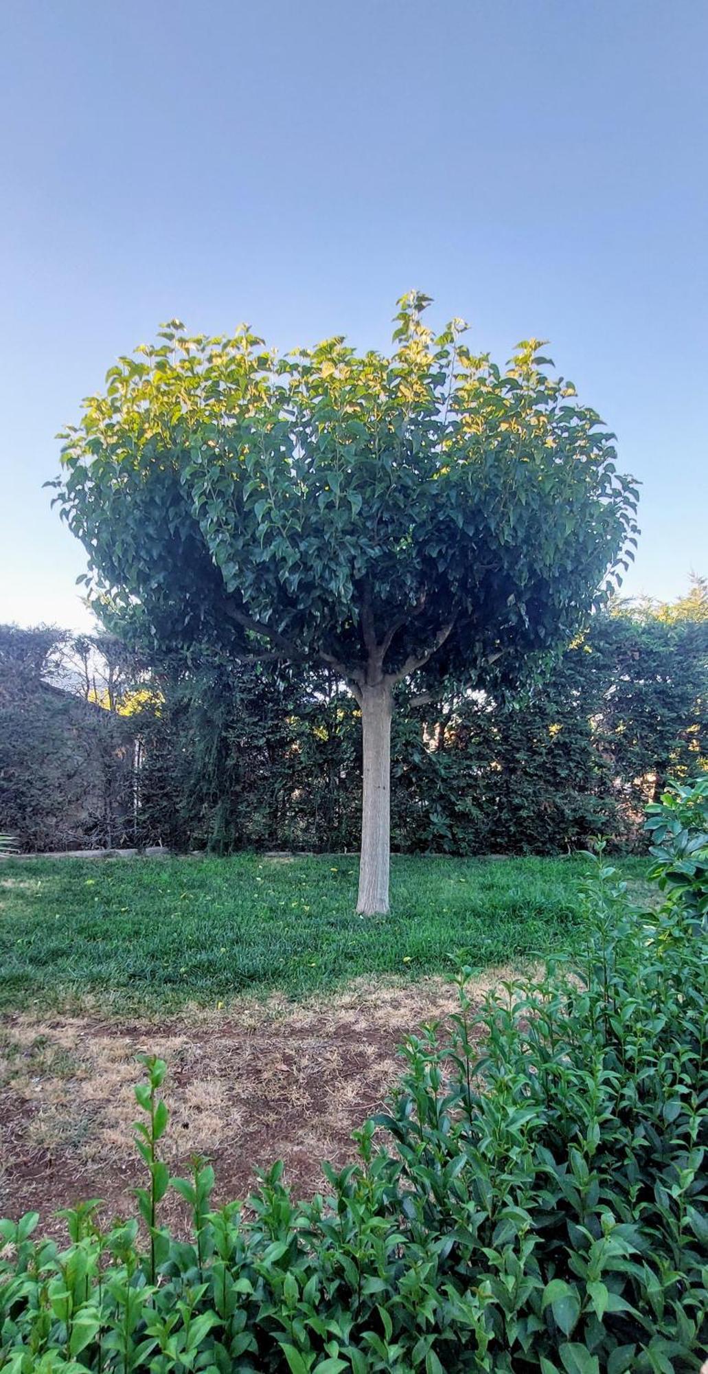 Κορωνιδα Lägenhet Ligourion Exteriör bild